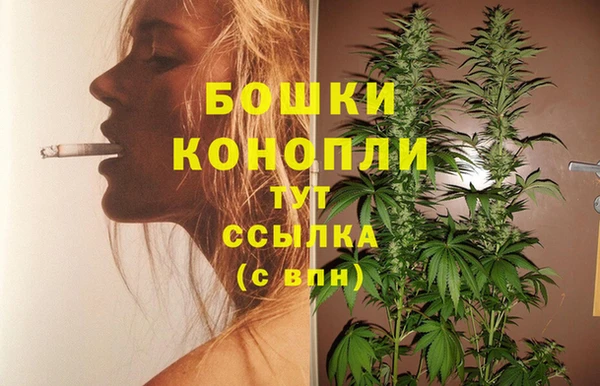 PSILOCYBIN Михайловск