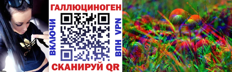 Псилоцибиновые грибы мицелий  наркота  darknet официальный сайт  Шарыпово 